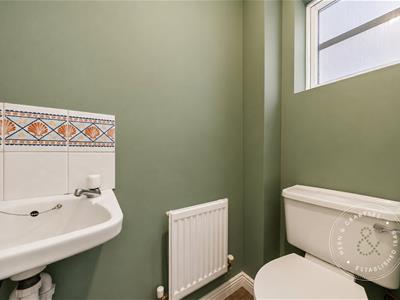Picture 20